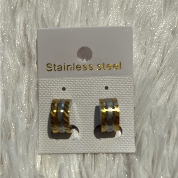 Elegant Gold and Silver Stainless Steel Earrings - Picture 1 of 4